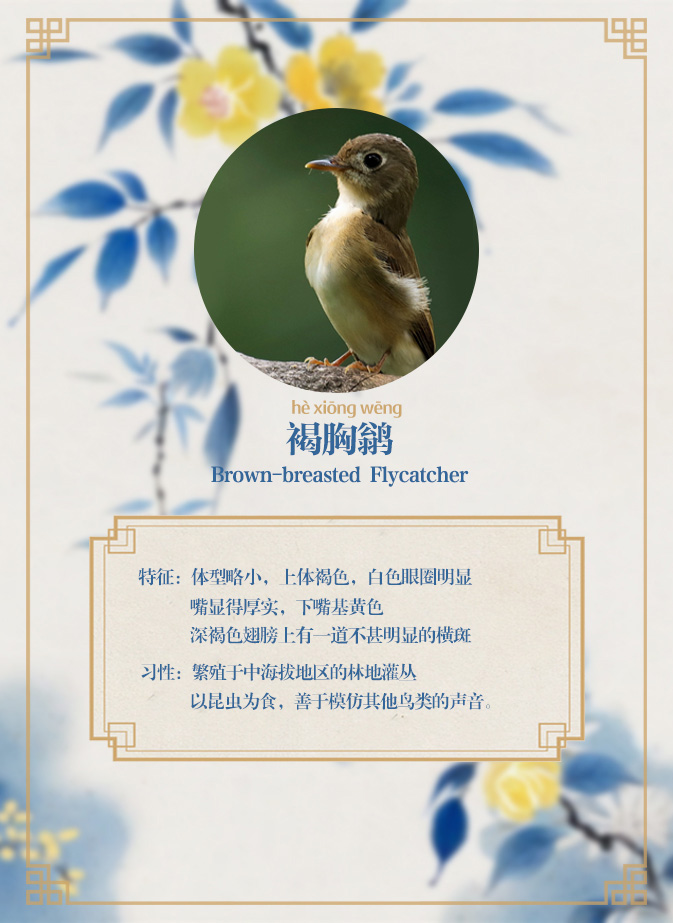 我与候鸟同行！江西首个“新闻+科普+AI+场景”定制型互动漫空间今日上线(图3)